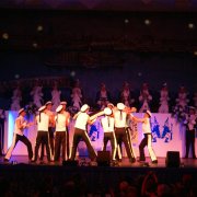 Altstadtfunken Leverkusen (24.01.08)